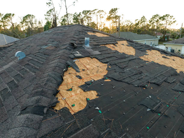 Best Wood Shake Roofing  in Rio Linda, CA